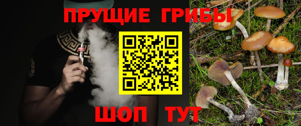 Галлюциногенные грибы MAGIC MUSHROOMS  Вход с VPN  Магнитогорск 