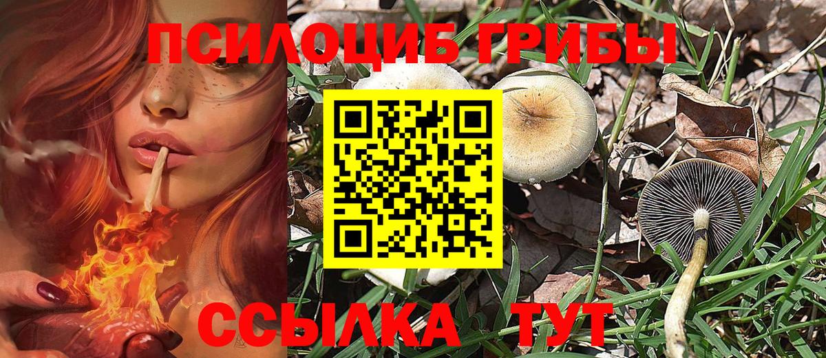 Галлюциногенные грибы Psilocybine cubensis Магнитогорск